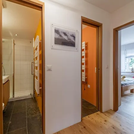 Chesa Daniela B1 - 公寓